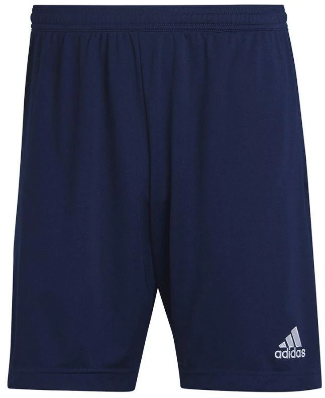 Adidas Entrada 22 treniruočių šortai M H57488