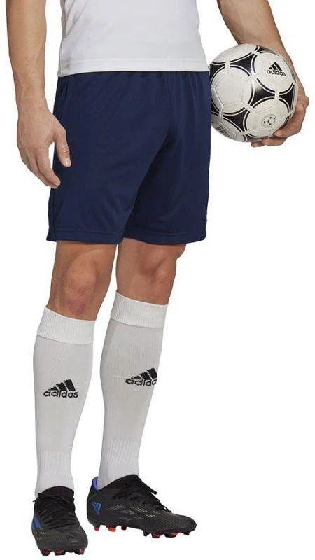 Adidas Entrada 22 treniruočių šortai M H57488
