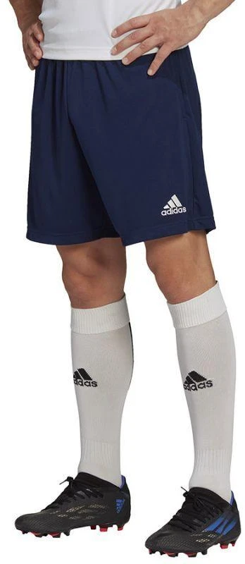 Adidas Entrada 22 treniruočių šortai M H57488