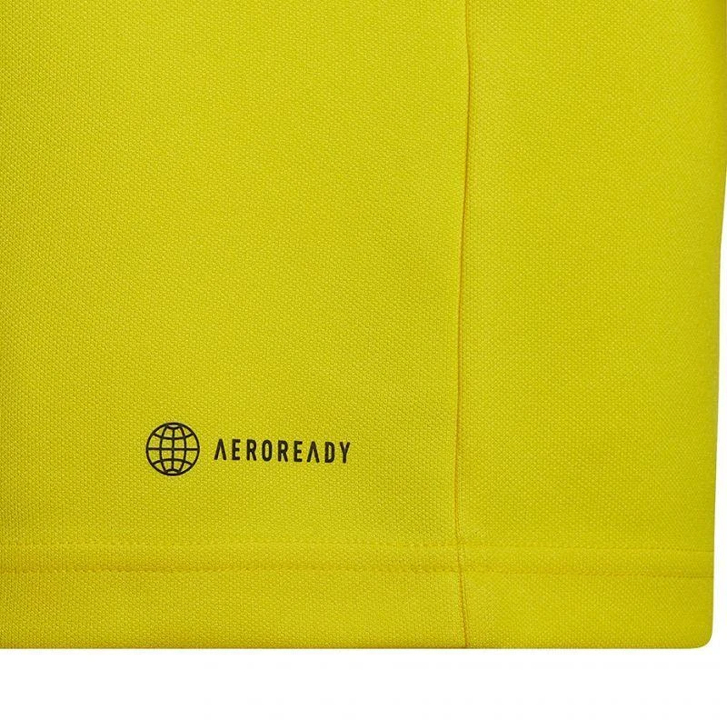 Adidas Entrada 22 Treniruočių Viršutinė Dalys Jr HI2133 Mergaitiškas Džemperis