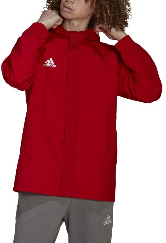 Adidas Entrada 22 Visiems Orams Striukė Vyrams IK4009