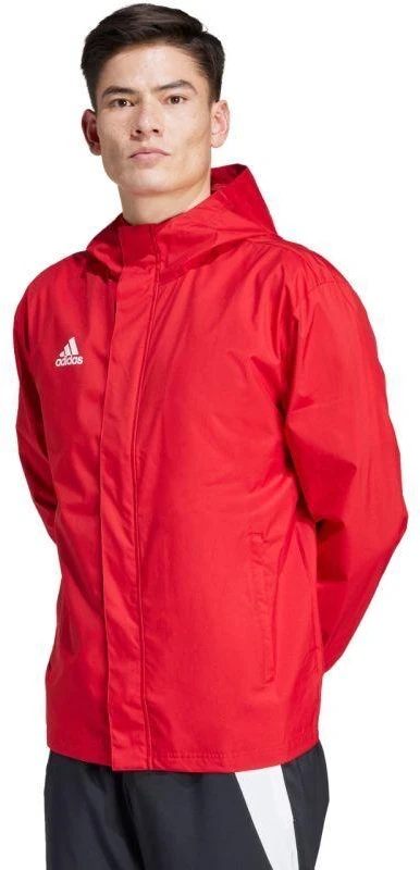 Adidas Entrada 22 Visiems Orams Striukė Vyrams IK4009