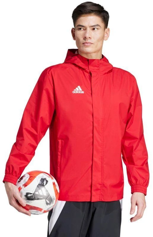 Adidas Entrada 22 Visiems Orams Striukė Vyrams IK4009