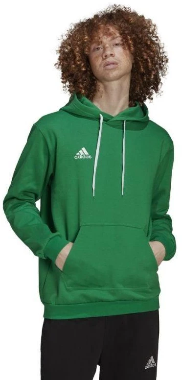 Adidas Entrada 22 Vyriškas džemperis su kapišonu M HI2141