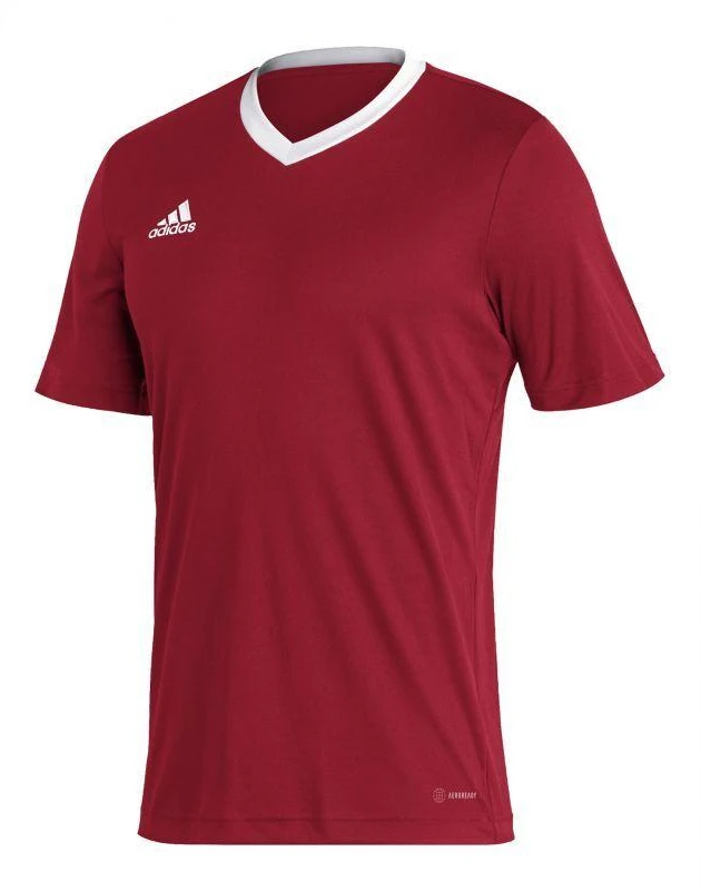 Adidas Entrada 22 vyriški marškinėliai H61736