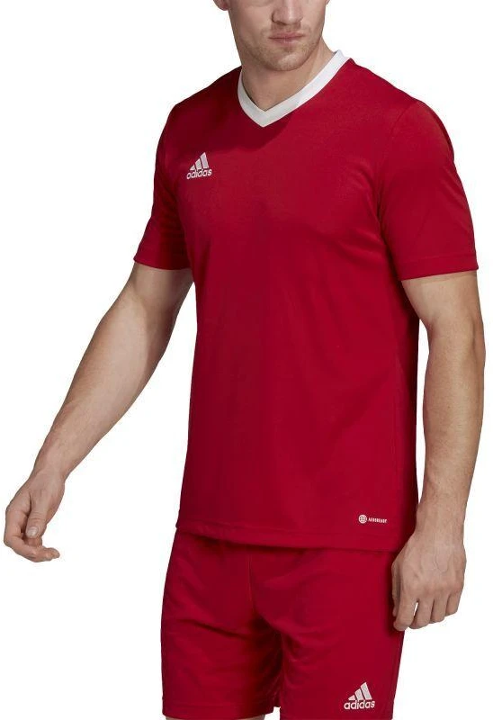 Adidas Entrada 22 vyriški marškinėliai H61736