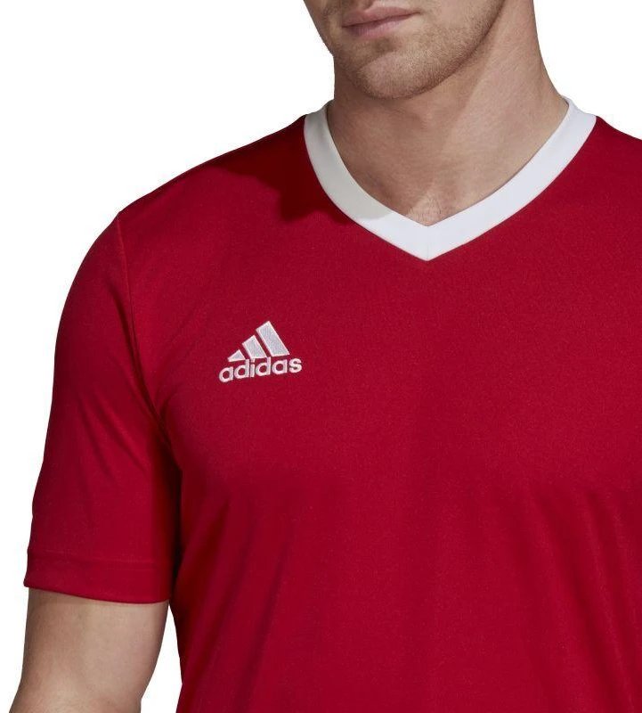 Adidas Entrada 22 vyriški marškinėliai H61736
