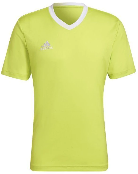 Adidas Entrada 22 Vyriški marškinėliai HC5077