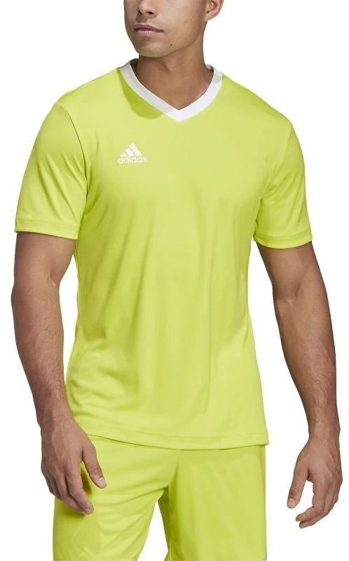 Adidas Entrada 22 Vyriški marškinėliai HC5077