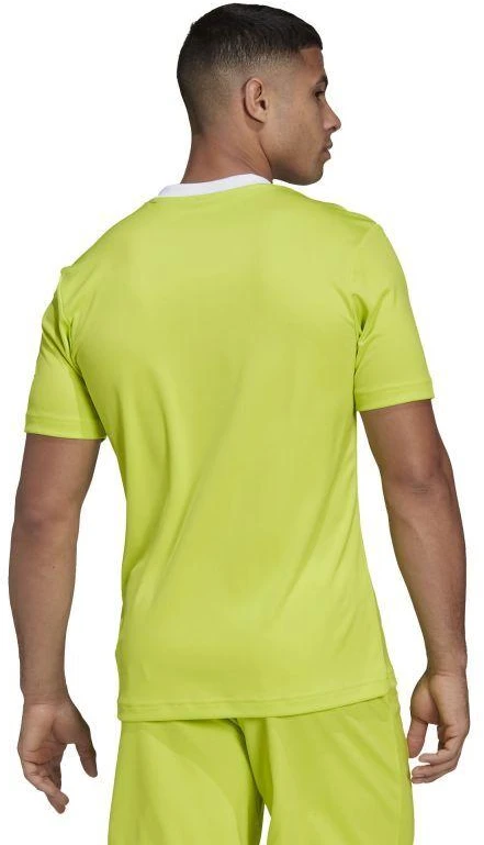 Adidas Entrada 22 Vyriški marškinėliai HC5077