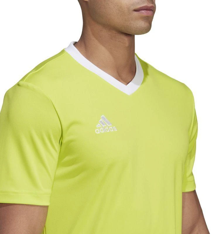 Adidas Entrada 22 Vyriški marškinėliai HC5077