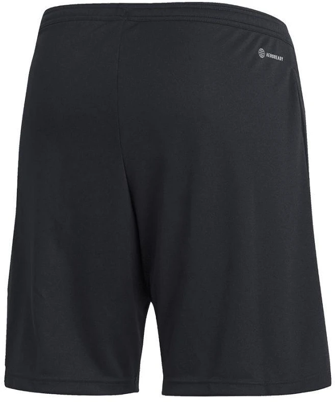 Adidas Entrada 22 Vyriški Treniruočių Šortai M HB0575