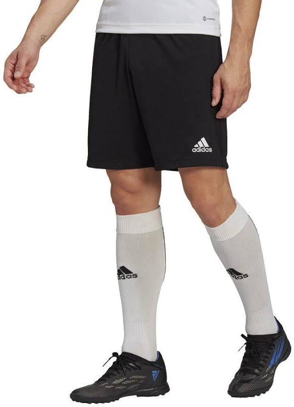 Adidas Entrada 22 Vyriški Treniruočių Šortai M HB0575