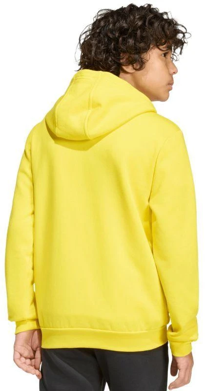 adidas Entrada 26 džemperis su užtrauktuku, geltonas, KH1777
