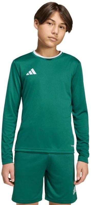 adidas Entrada 26 Džersis ilgomis rankovėmis vaikams Žalias KF5873
