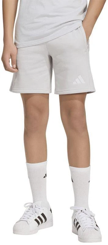 adidas ENTRADA 26 Jaunimo sportiniai šortai KF5929