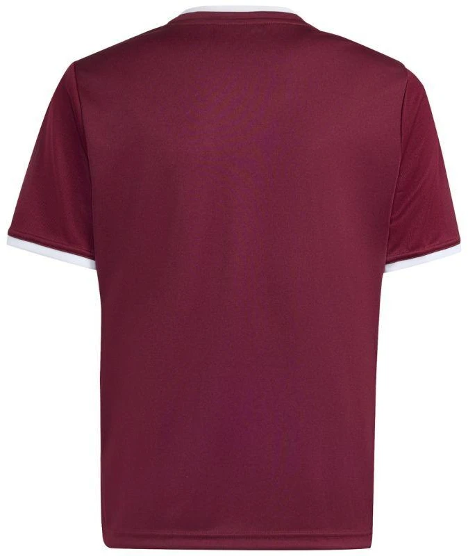adidas Entrada 26 Jersey bordo vaikiški marškinėliai JZ2530