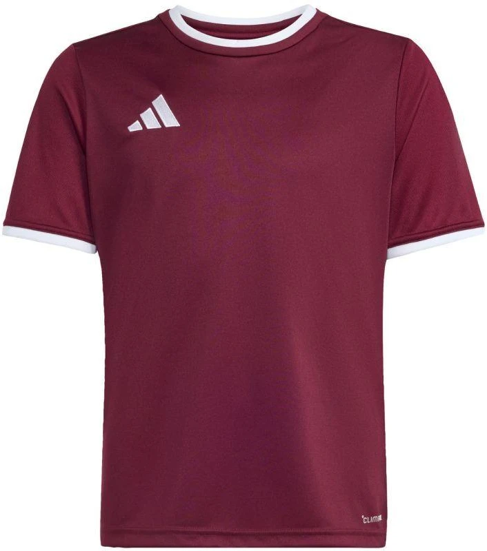 adidas Entrada 26 Jersey bordo vaikiški marškinėliai JZ2530