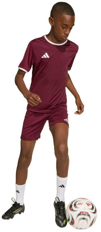 adidas Entrada 26 Jersey bordo vaikiški marškinėliai JZ2530