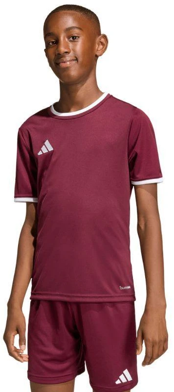 adidas Entrada 26 Jersey bordo vaikiški marškinėliai JZ2530