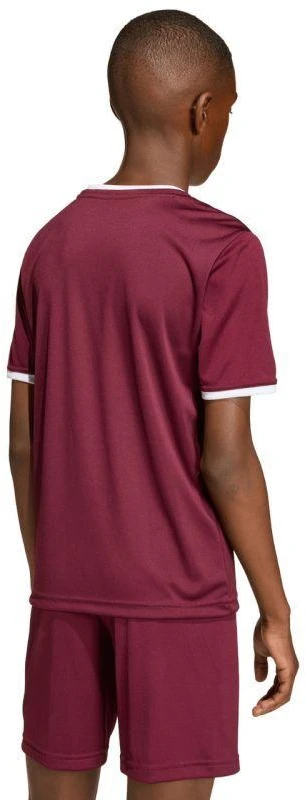 adidas Entrada 26 Jersey bordo vaikiški marškinėliai JZ2530