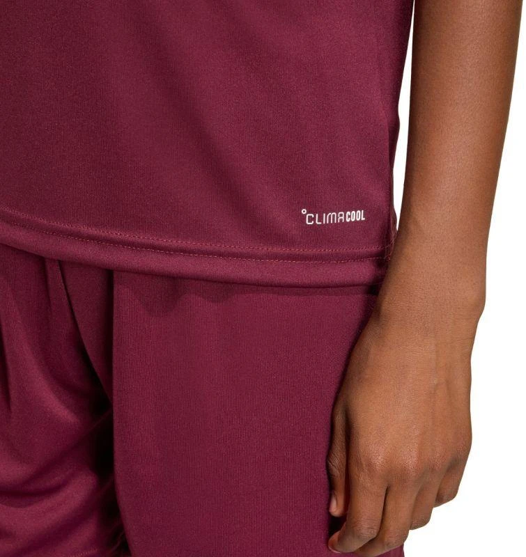 adidas Entrada 26 Jersey bordo vaikiški marškinėliai JZ2530