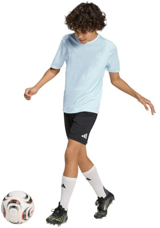 adidas Entrada 26 Jersey vaikiški marškinėliai mėlyna KE9844