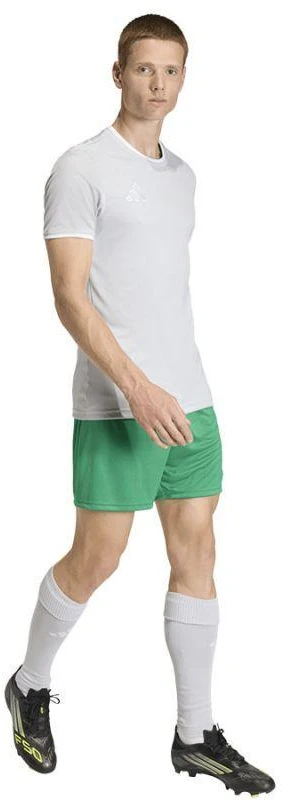 adidas Entrada 26 JSY JZ2511 marškinėliai