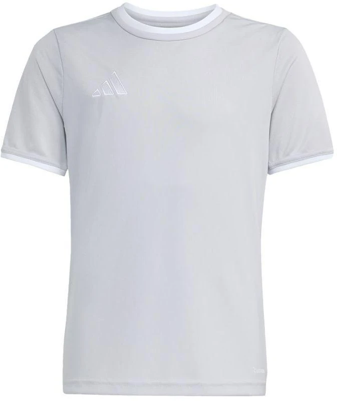 adidas Entrada 26 JSY JZ2525 marškinėliai