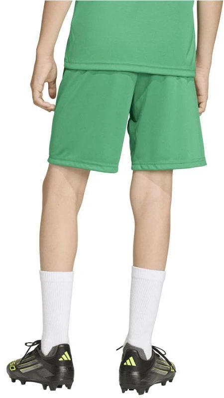 adidas Entrada 26 JZ6530 vaikiški šortai