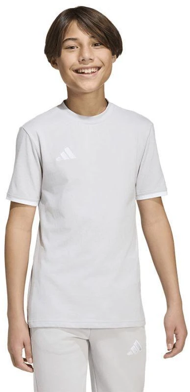 adidas Entrada 26 marškinėliai vaikams pilki JZ6672