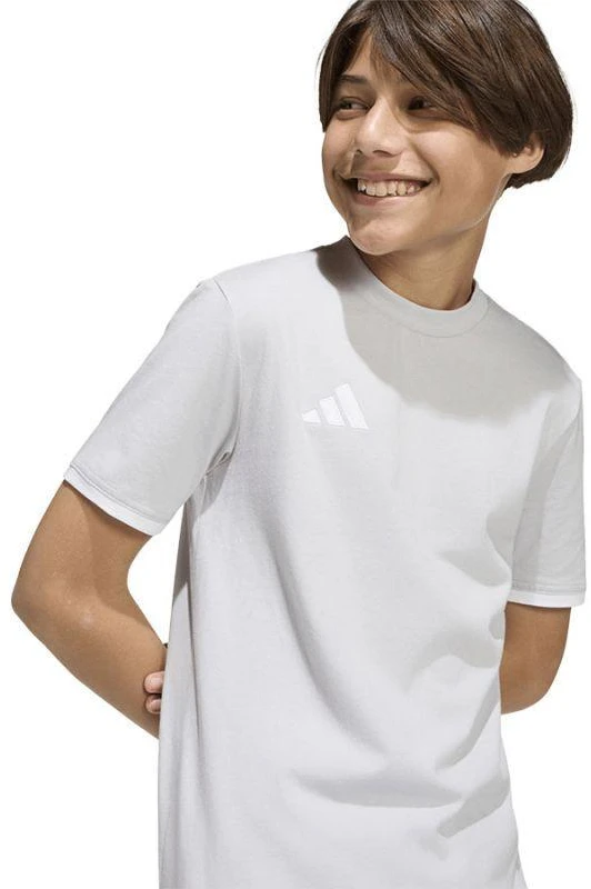 adidas Entrada 26 marškinėliai vaikams pilki JZ6672
