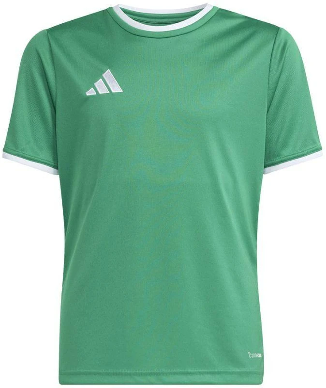 adidas Entrada 26 Marškinėliai žali JZ2528 vaikiški