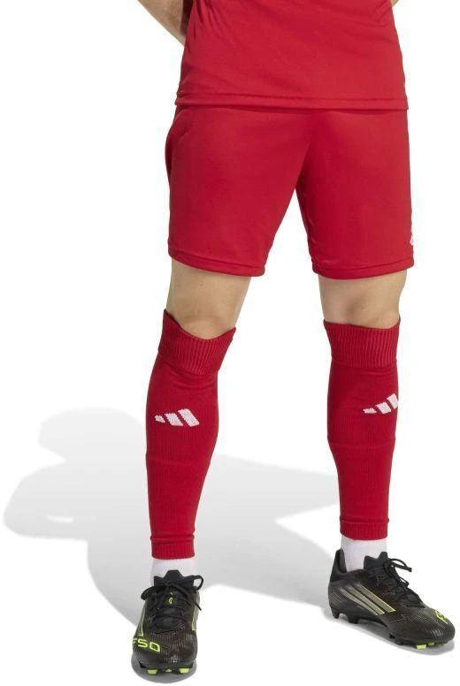 adidas Entrada 26 šortai JZ2517