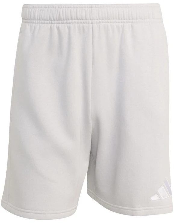 adidas Entrada 26 Treningo šortai KF5922