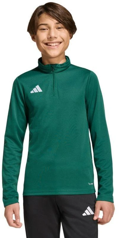 adidas Entrada 26 treniruočių bliuzonas, žalias, vaikams KE9825