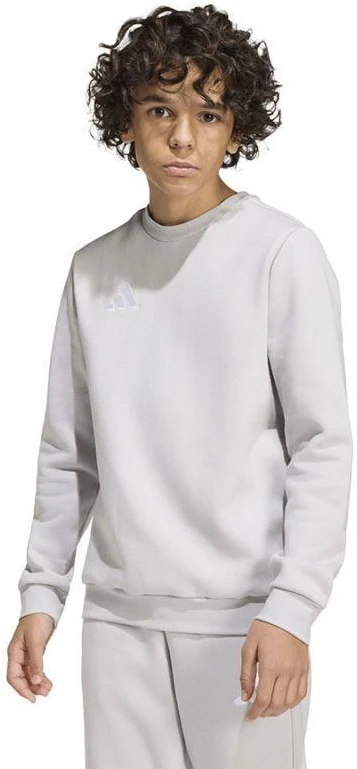 adidas Entrada 26 vaikiškas pilkas bliuzonas JZ6551