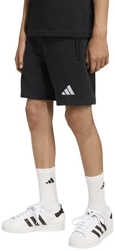 adidas ENTRADA 26 Vaikiški sportiniai šortai KF5927