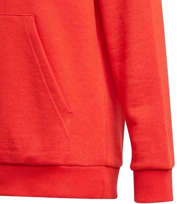 Adidas Essentials Big Logo Hoodie Jr GN4037 džemperis