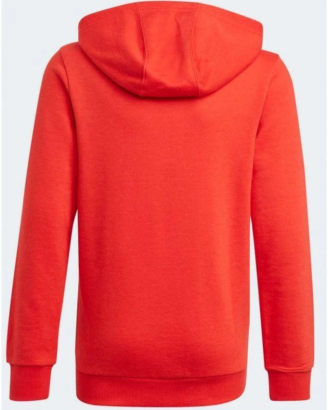 Adidas Essentials Big Logo Hoodie Jr GN4037 džemperis