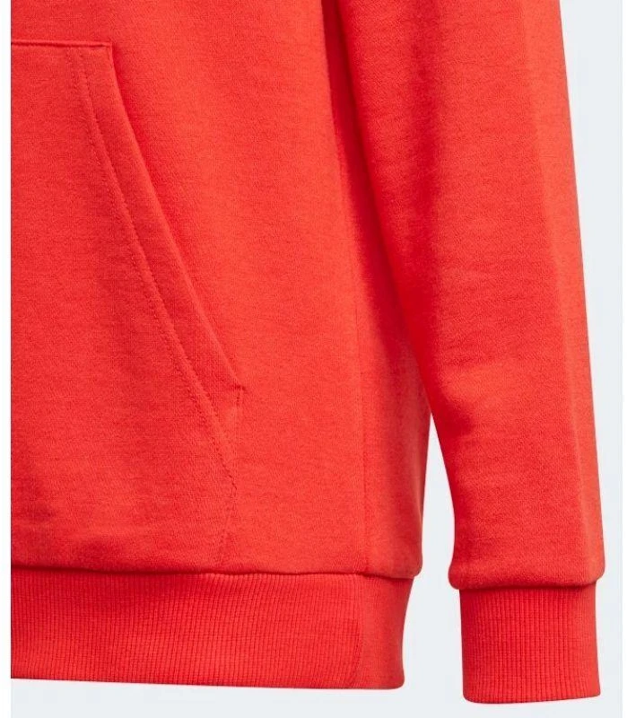 Adidas Essentials Big Logo Hoodie Jr GN4037 džemperis