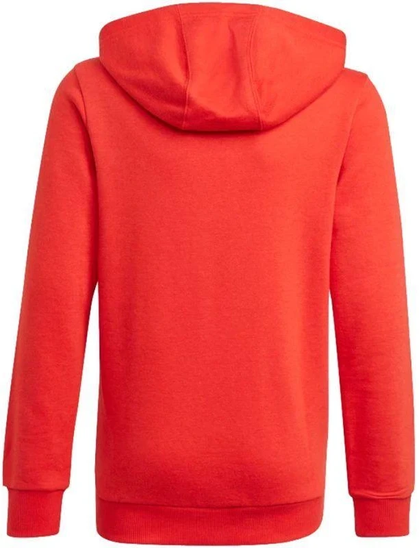 Adidas Essentials Big Logo Hoodie Jr GN4037 džemperis