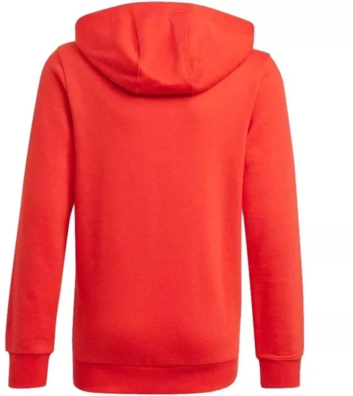 Adidas Essentials Big Logo Hoodie Jr GN4037 džemperis