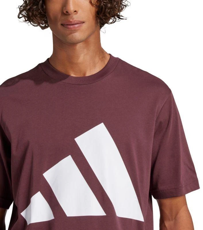 adidas Essentials Big Logo marškinėliai M JE8939