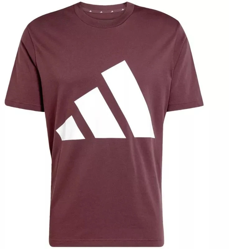 adidas Essentials Big Logo marškinėliai M JE8939