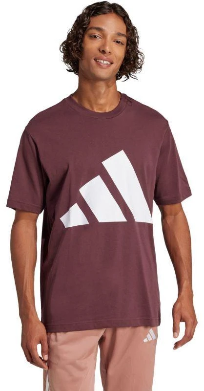 adidas Essentials Big Logo marškinėliai M JE8939
