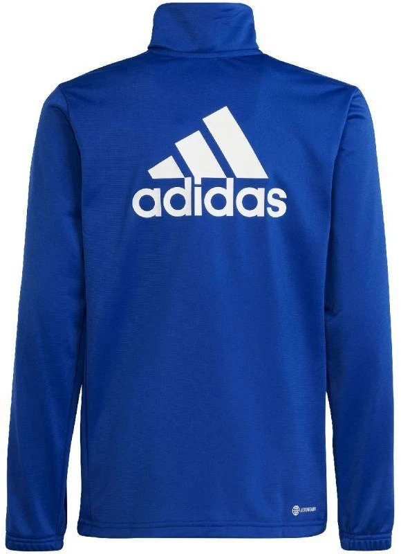 adidas Essentials Big Logo sportinis kostiumas jaunuoliams HR6408