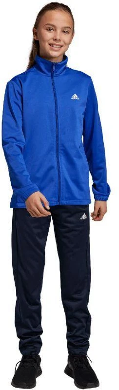 adidas Essentials Big Logo sportinis kostiumas jaunuoliams HR6408