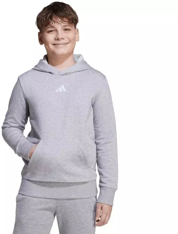 adidas Essentials bliuzonas su gobtuvu vaikams, pilkas JV9995