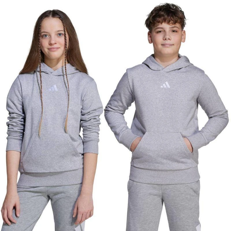 adidas Essentials bliuzonas su gobtuvu vaikams, pilkas JV9995